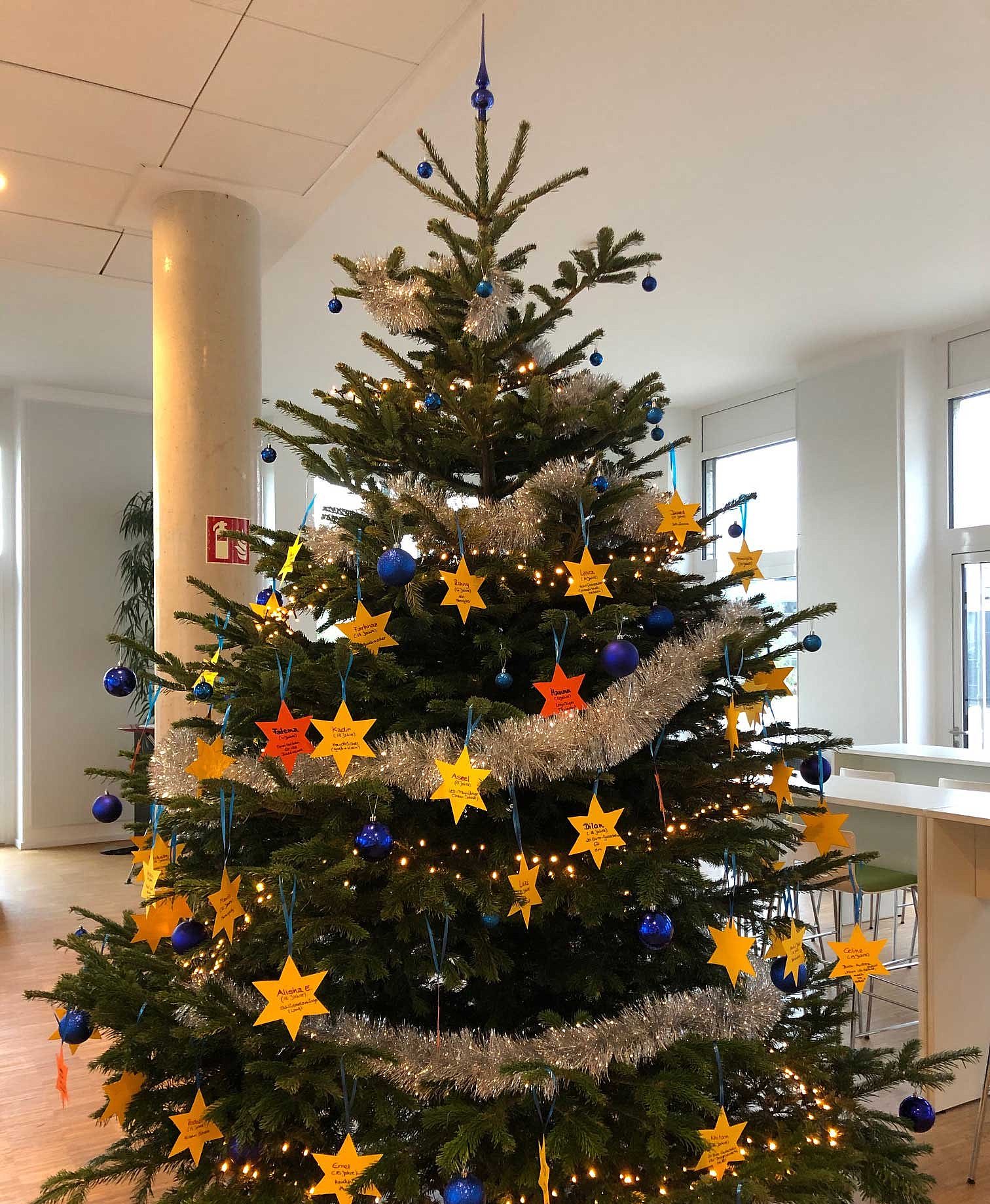 Christmas tree with gift wishes from the Luise-Scheppler-Heim